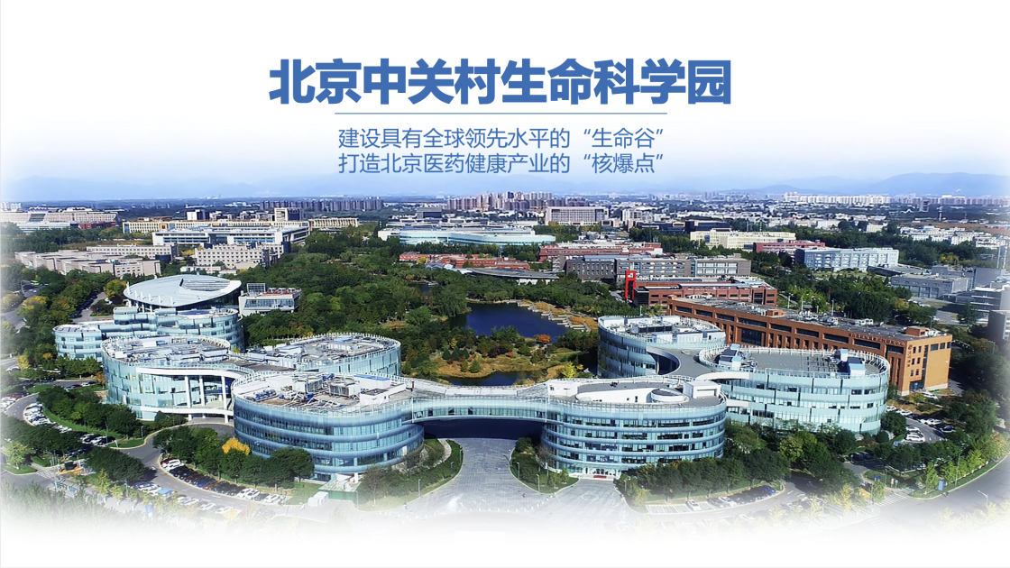 1765274650363070.png 1765274650363070.png